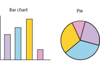 A bar chart and a pie chart.