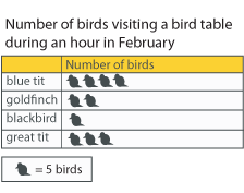 A pictogram displaying the number of birds visiting a bird table during an hour in February. 20 blue tits visited, 10 goldfinches, 5 blackbirds and 15 great tits visited.